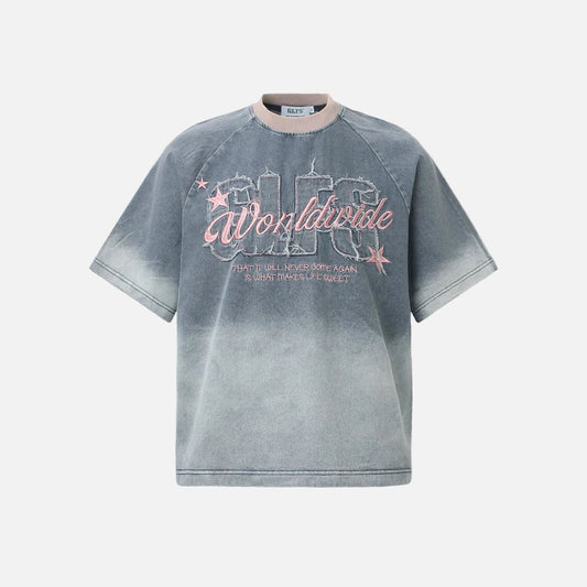 Gradient wash raglan T-shirt with embroidered graphic, front view